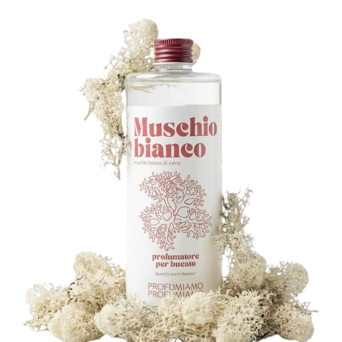 Muschio Bianco