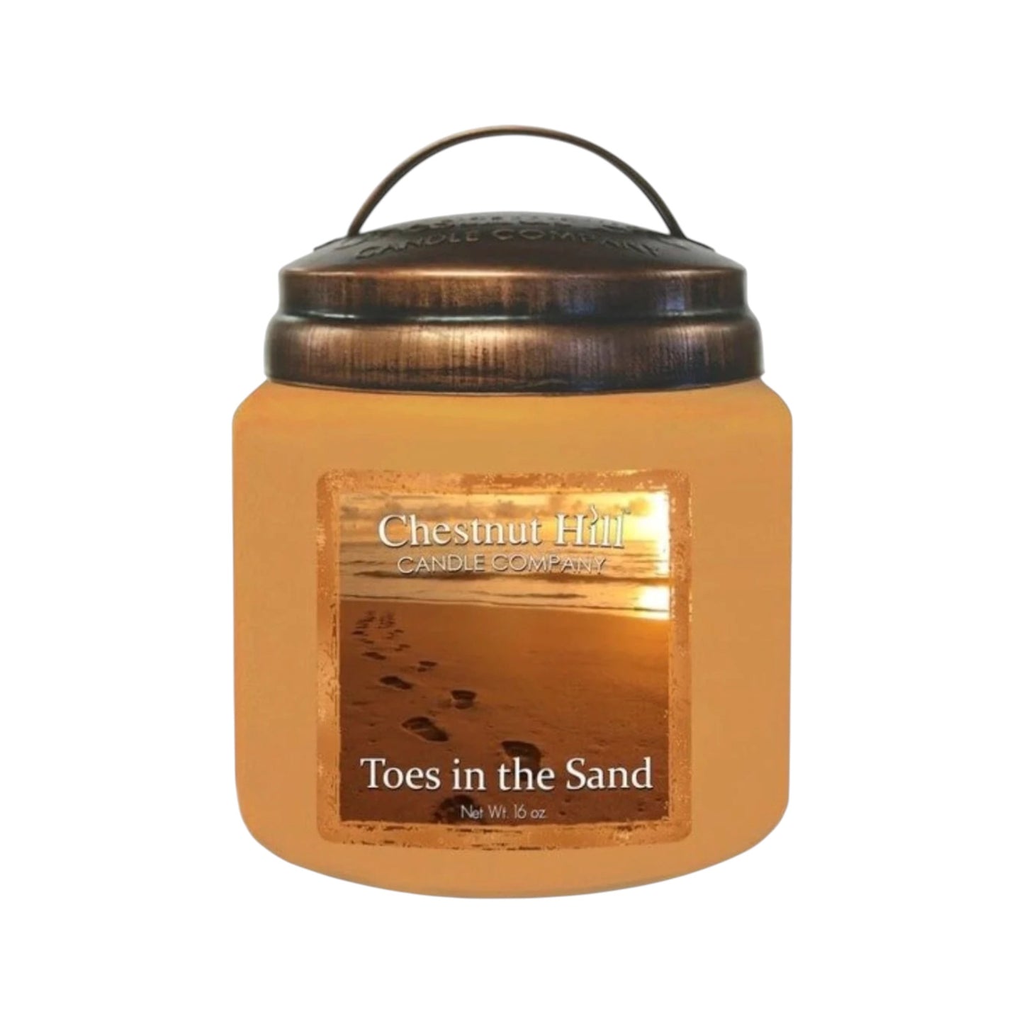 Chestnut Hill Toes in the sand